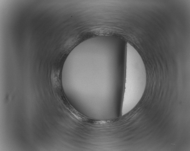 X0000060260239200510281017