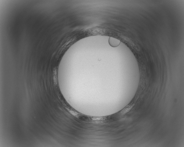 X0000060260240200510281017