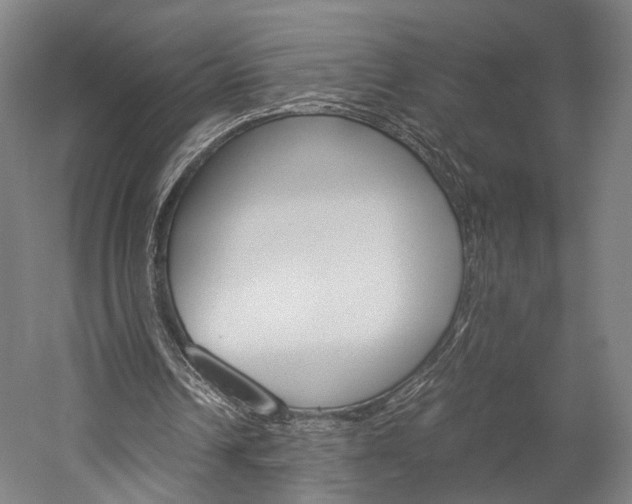 X0000060260242200510281016