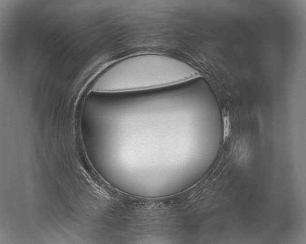 X0000060260243200510281016