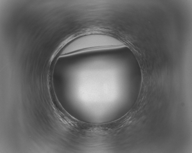 X0000060260244200510281016