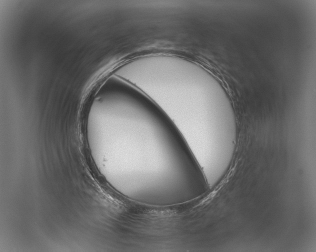 X0000060260245200510281016