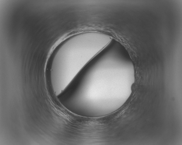 X0000060260246200510281016