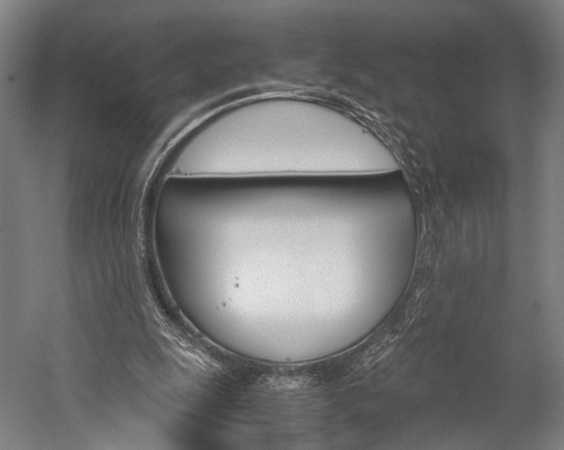 X0000060260247200510281016