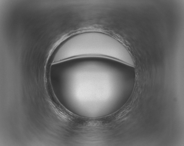 X0000060260248200510281016