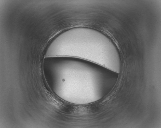 X0000060260249200510281016