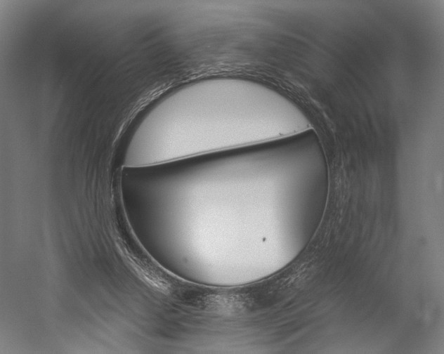 X0000060260250200510281016