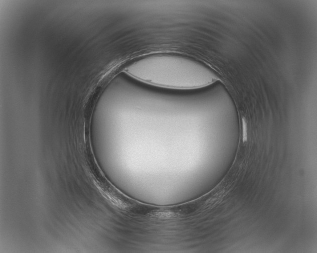 X0000060260253200510281016