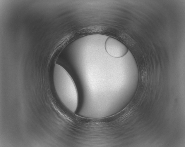 X0000060260254200510281016