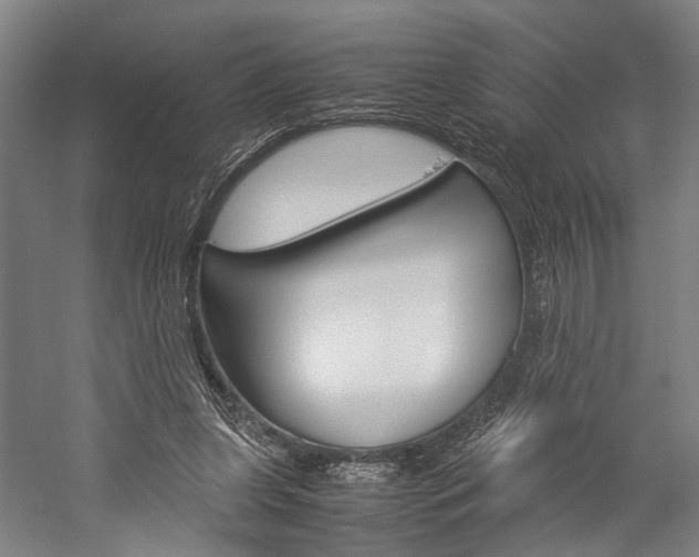 X0000060260255200510281016