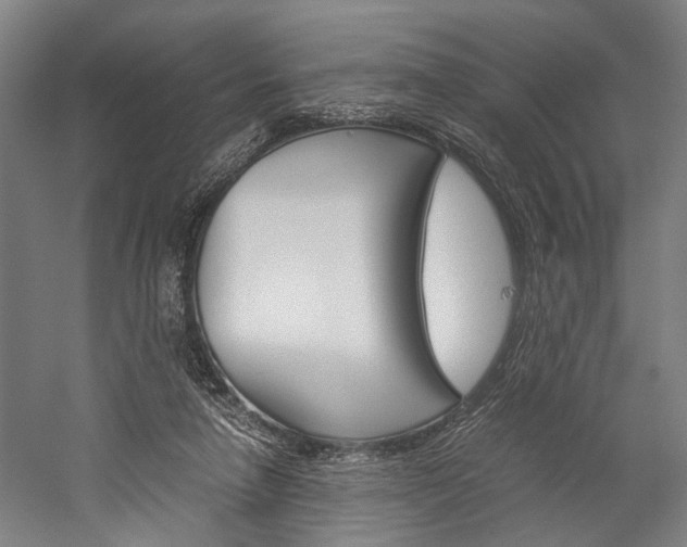 X0000060260258200510281016