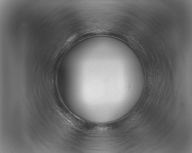 X0000060260260200510281016