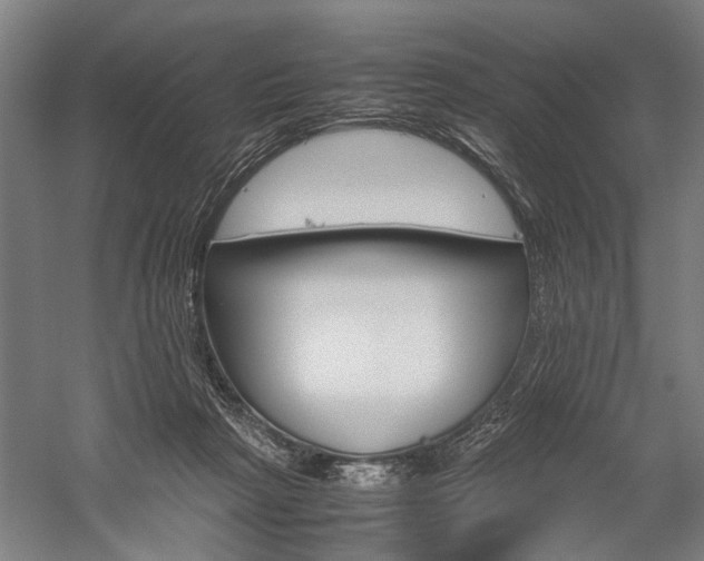 X0000060260265200510281016