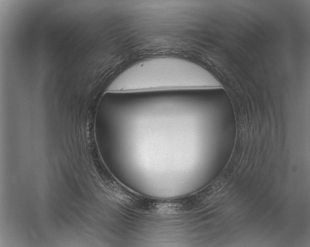 X0000060260268200510281016