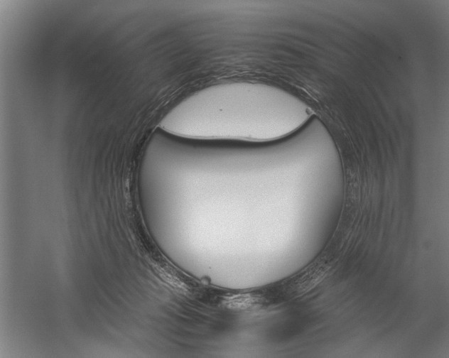 X0000060260269200510281016