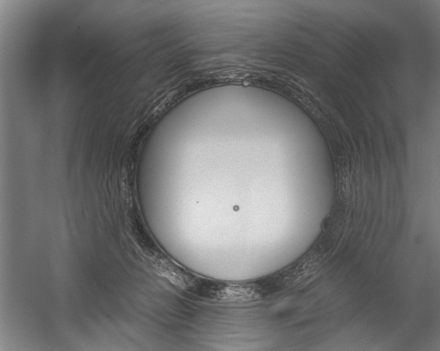 X0000060260270200510281016