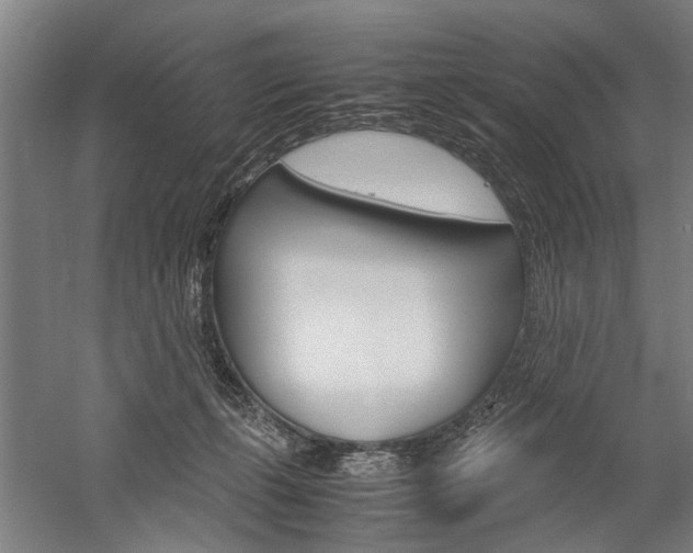 X0000060260271200510281016