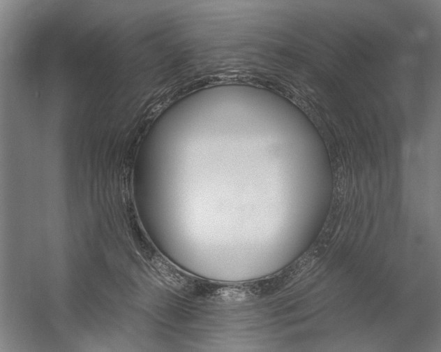 X0000060260272200510281016