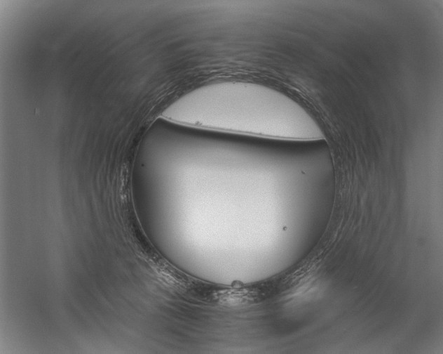 X0000060260273200510281017