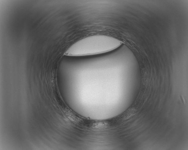 X0000060260274200510281017