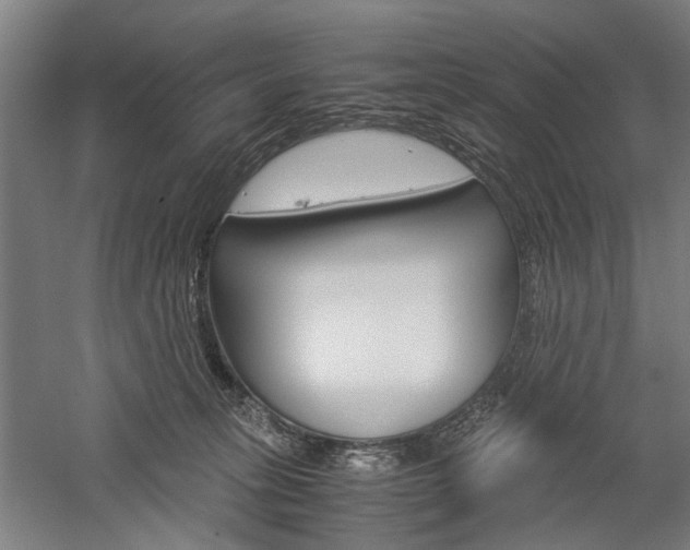 X0000060260275200510281017