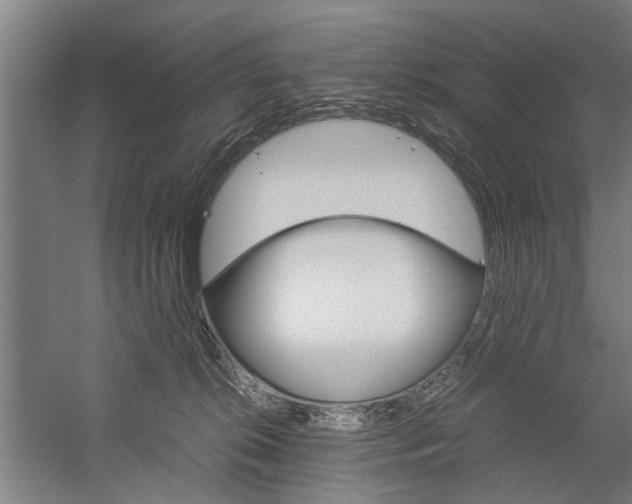 X0000060260276200510281017