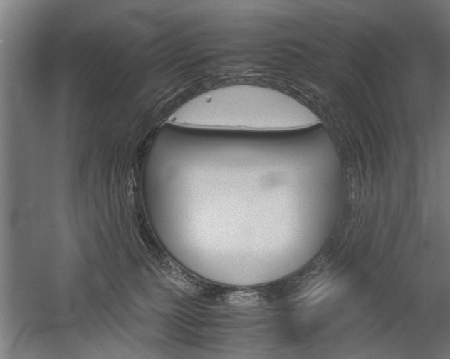 X0000060260279200510281017