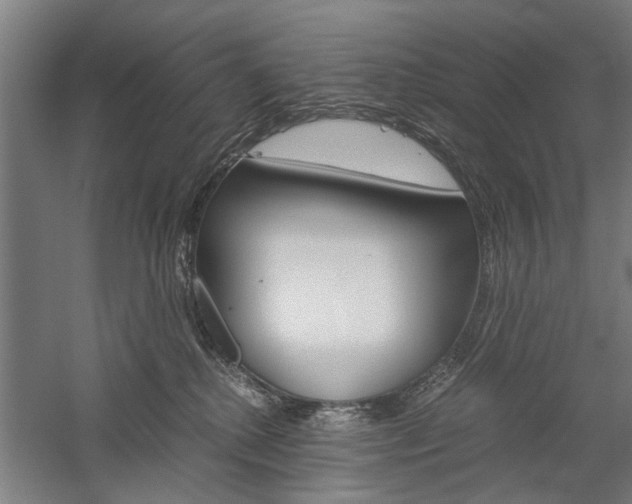 X0000060260280200510281017