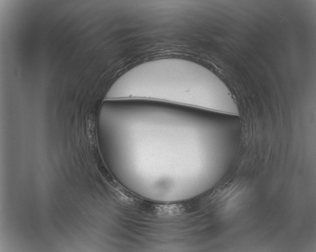 X0000060260281200510281017