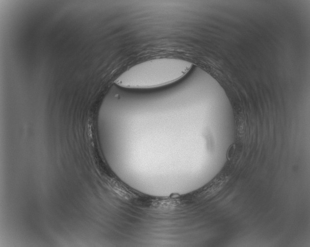 X0000060260282200510281017