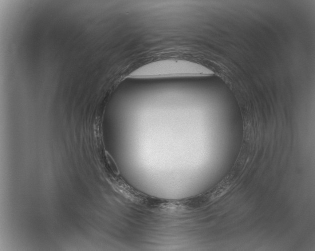 X0000060260284200510281017