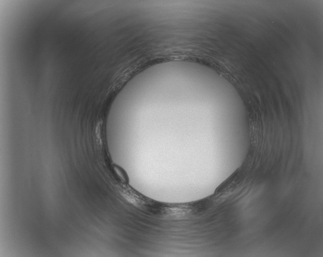 X0000060260286200510281017