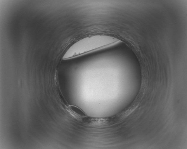 X0000060260288200510281017