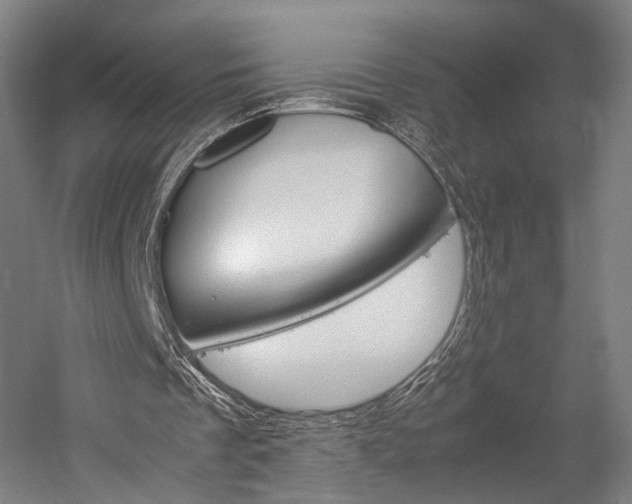 X0000060260289200510281016