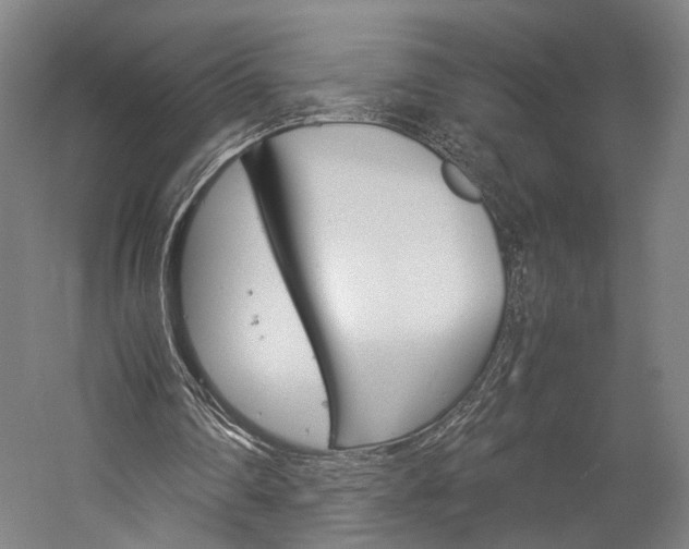 X0000060260290200510281016