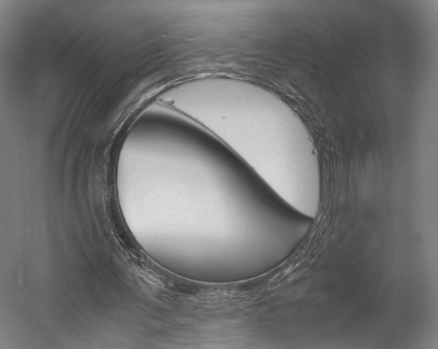 X0000060260291200510281016