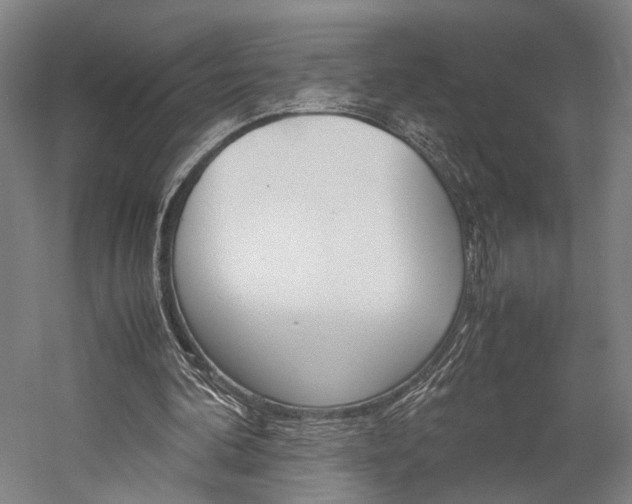 X0000060260292200510281016