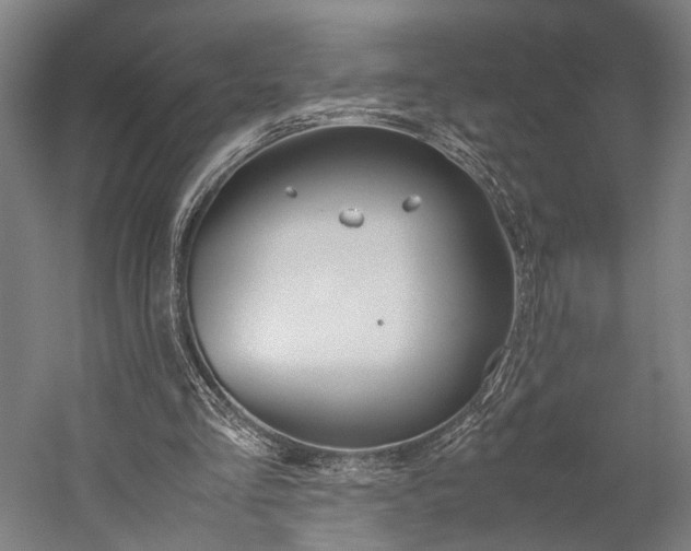 X0000060260293200510281016