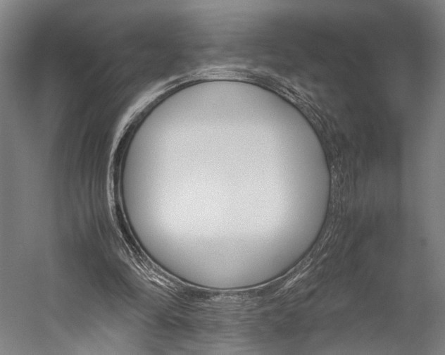 X0000060260294200510281016