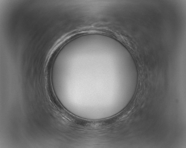 X0000060260295200510281016