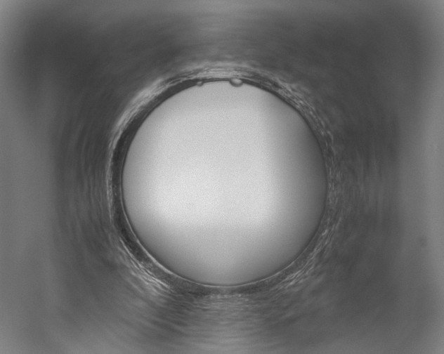 X0000060260296200510281016