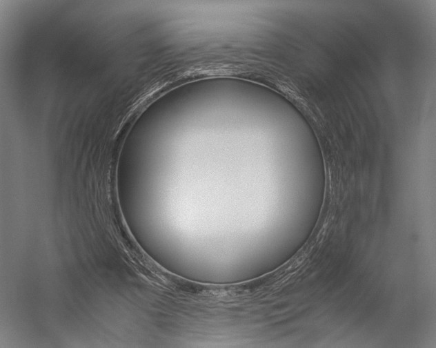 X0000060260297200510281016