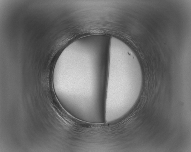 X0000060260299200510281016