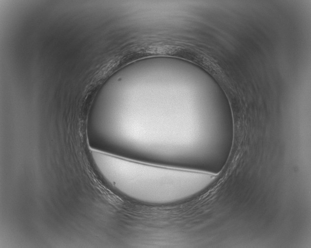 X0000060260305200510281016