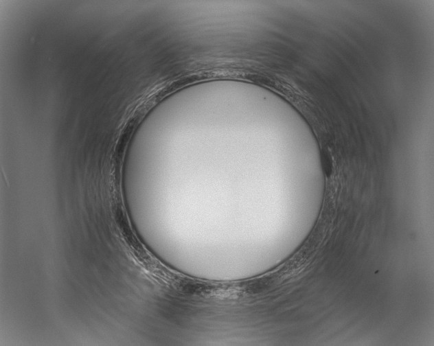 X0000060260306200510281016