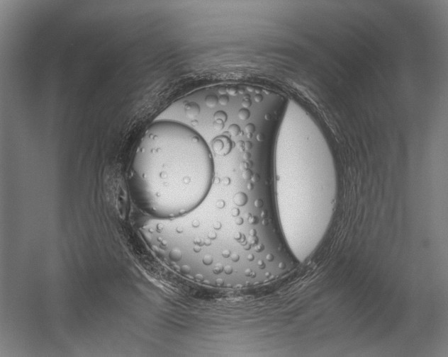 X0000060260307200510281016