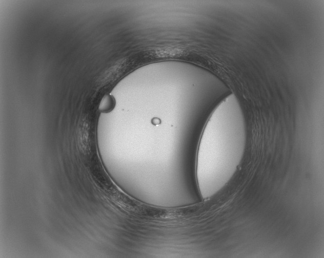 X0000060260308200510281016