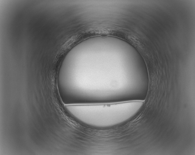 X0000060260309200510281016