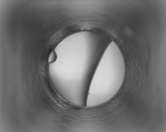 X0000060260311200510281016