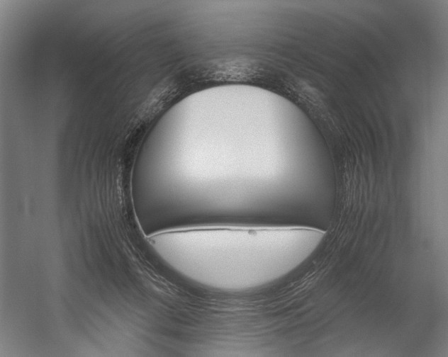 X0000060260312200510281016